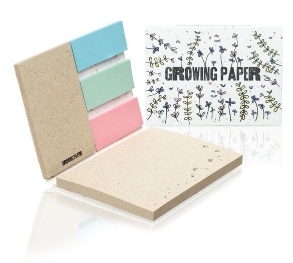 combi post-it premium graines